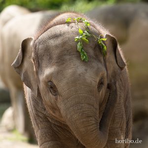 HR-19-05-29-13-30-50-6055