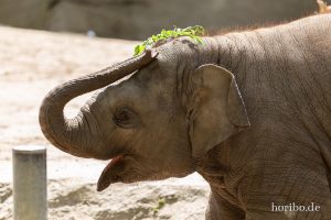 HR-19-05-29-13-31-45-6064