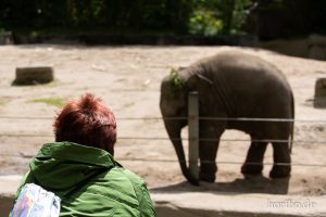 HR-19-05-29-13-35-02-6068