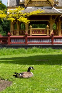 HR-19-05-29-13-42-34-6081