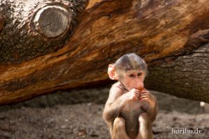 HR-19-05-29-13-45-01-6084