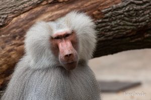 HR-19-05-29-13-46-02-6091