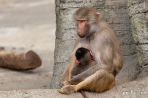 HR-19-05-29-13-50-51-6097