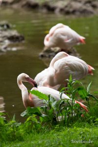 HR-19-05-29-14-00-19-6111