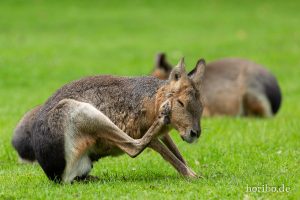 HR-19-05-29-14-11-32-6121