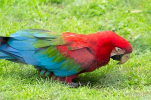 HR-19-05-29-14-18-04-6134