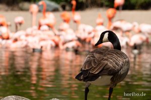 HR-19-05-29-15-45-53-6171