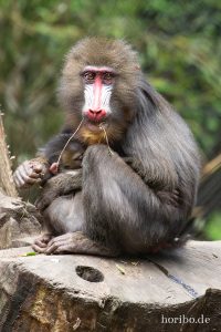 HR-19-05-29-15-51-08-6175