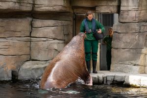 HR-19-05-29-16-16-22-6218