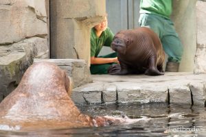 HR-19-05-29-16-20-37-6237