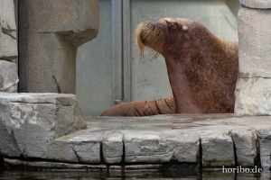 HR-19-05-29-16-23-00-6244