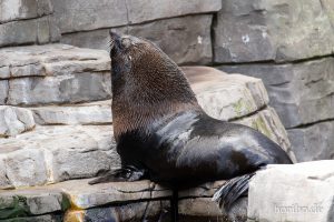 HR-19-05-29-16-26-48-6259