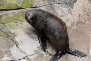 HR-19-05-29-16-27-48-6261