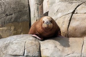 HR-19-05-29-16-33-57-6271