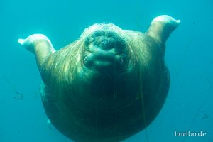 HR-19-05-29-16-42-39-6299