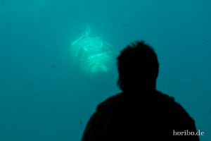 HR-19-05-29-16-43-35-6301