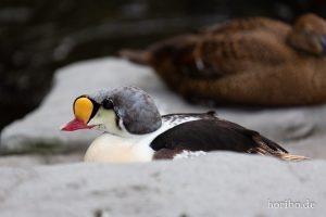 HR-19-05-29-16-55-49-6325