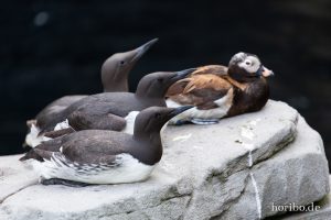 HR-19-05-29-16-56-34-6329