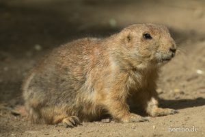 HR-19-05-29-17-20-25-6353