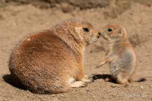 HR-19-05-29-17-20-46-6357