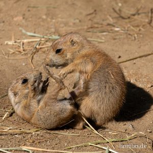 HR-19-05-29-17-24-54-6381