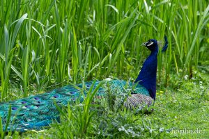 HR-19-05-29-17-27-17-6385