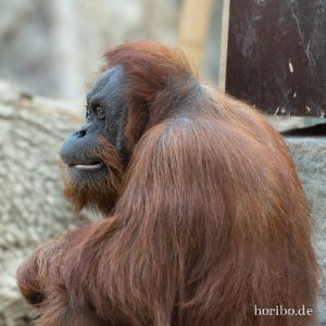 HR-19-05-29-17-37-05-6389