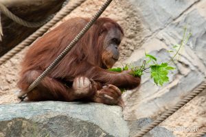 HR-19-05-29-17-50-33-6415