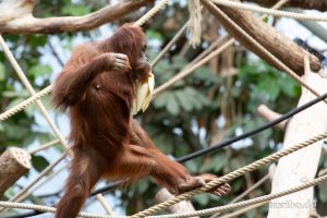 HR-19-05-29-17-54-02-6420