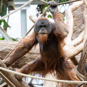 HR-19-05-29-17-55-45-6431