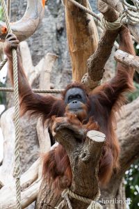 HR-19-05-29-18-19-16-6451