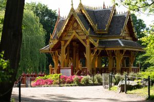 HR-19-05-29-18-26-50-6453