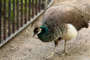 HR-19-05-29-18-30-17-6462