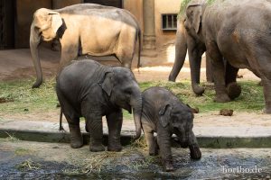 HR-19-05-29-18-34-36-6468