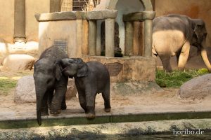 HR-19-05-29-18-34-59-6476