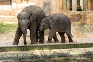 HR-19-05-29-18-35-00-6477