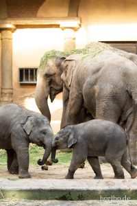 HR-19-05-29-18-35-23-6479