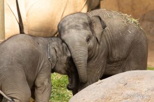 HR-19-05-29-18-35-58-6481