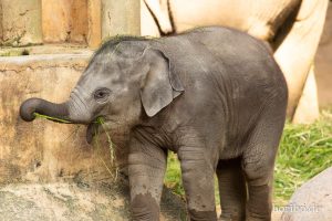 HR-19-05-29-18-36-15-6483