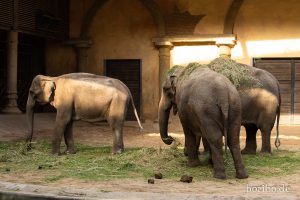 HR-19-05-29-18-38-41-6487