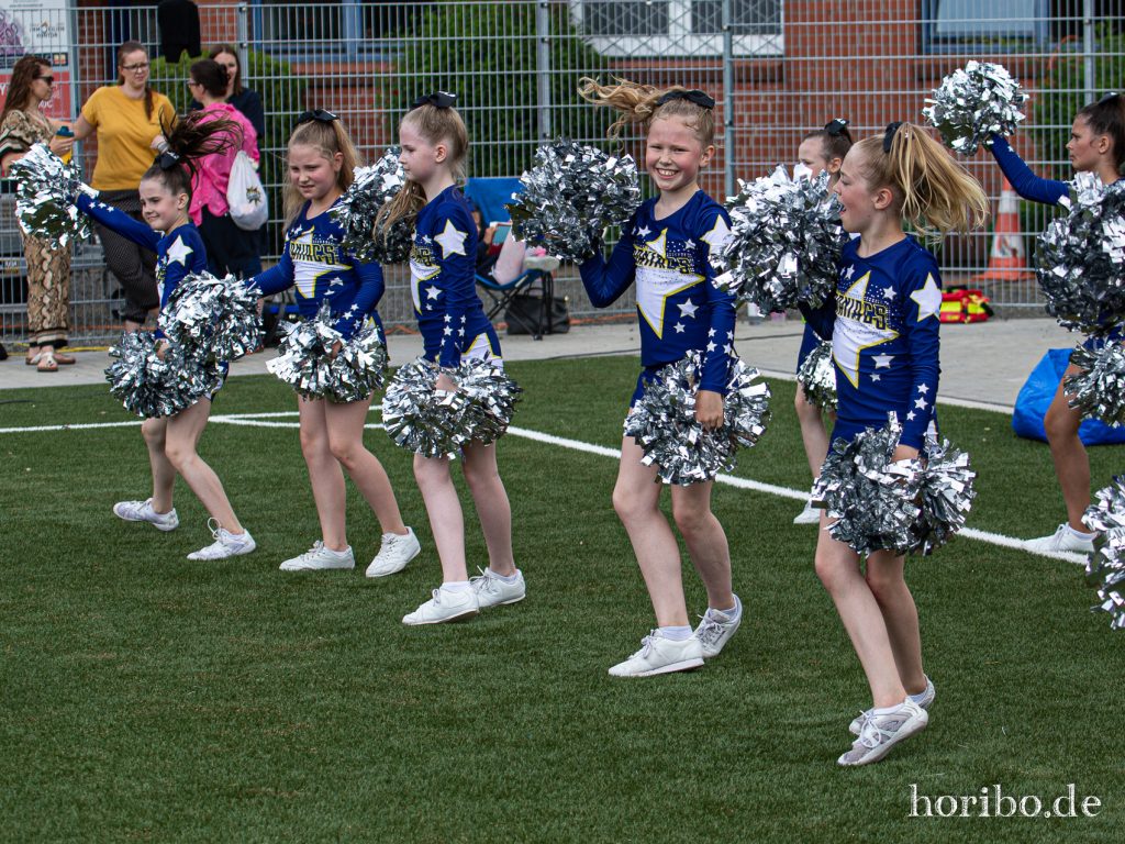 HR-19-06-16-14-31-00-7066