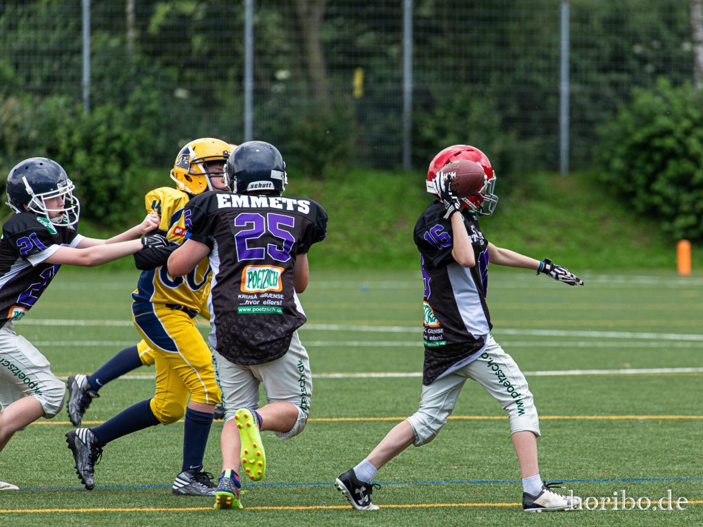 HR-19-06-16-15-14-58-7304