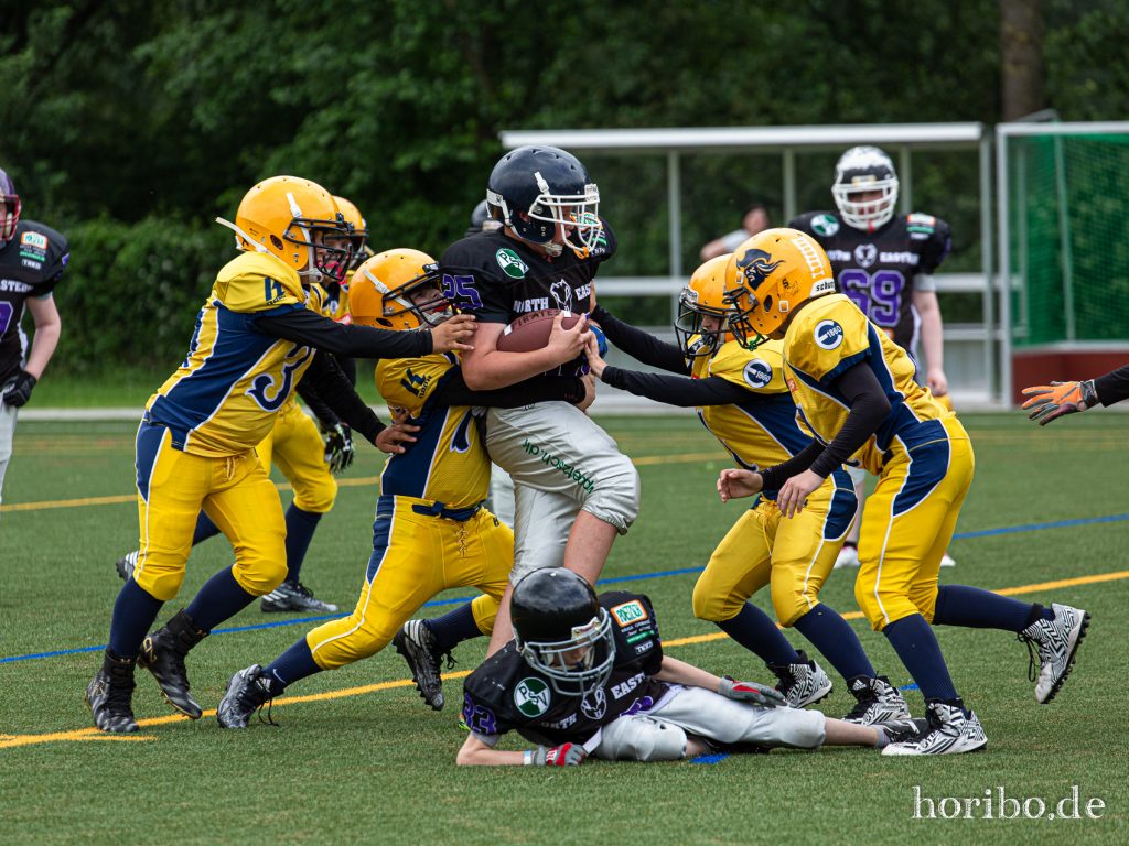 HR-19-06-16-15-32-09-7455