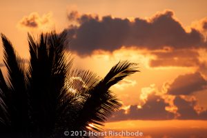 HR_20121109-09-16-2182