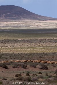 HR_20121111-14-01-2252