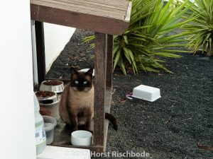 HR_20121112-16-24-1000933