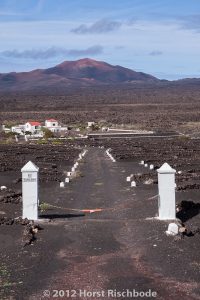 HR_20121115-14-04-2456