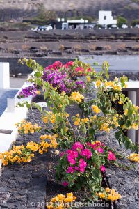 HR_20121115-14-26-2474