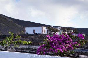 HR_20121115-14-50-2485