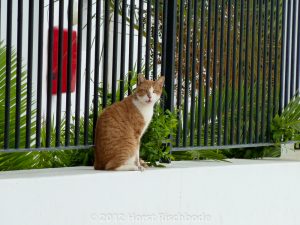 HR_20121115-16-43-1000962